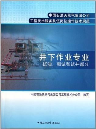 中國石油天然氣集團公司工程技術服務隊伍崗位操作技術規劃 構建卓越服務體系，保障能源安全