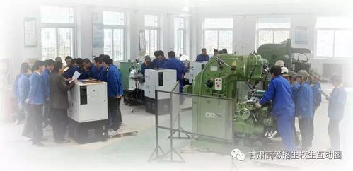 甘肅林業職業技術學院機電工程學院 以技術服務為引擎，賦能區域產業發展