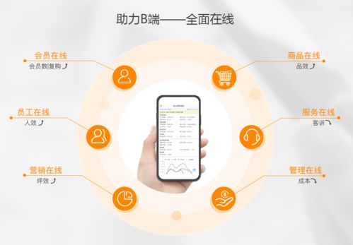 生鮮電商虧損潮中，點(diǎn)DMall為何能逆勢(shì)融資28億？